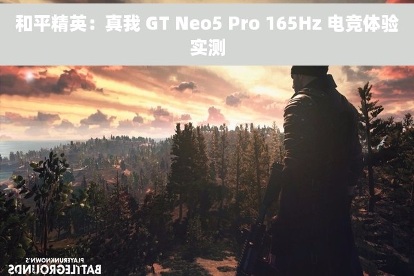 和平精英：真我 GT Neo5 Pro 165Hz 电竞体验实测
