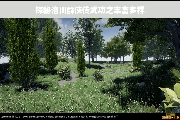 探秘洛川群侠传武功之丰富多样