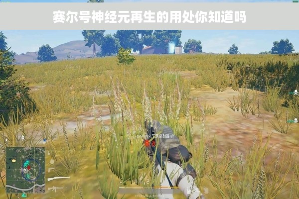 赛尔号神经元再生的用处你知道吗