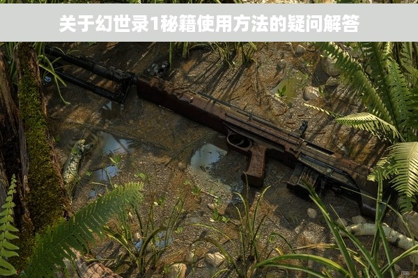 关于幻世录1秘籍使用方法的疑问解答