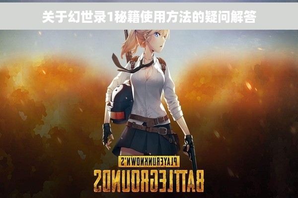 关于幻世录1秘籍使用方法的疑问解答