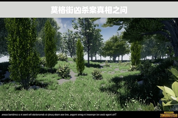 莫格街凶杀案真相之问
