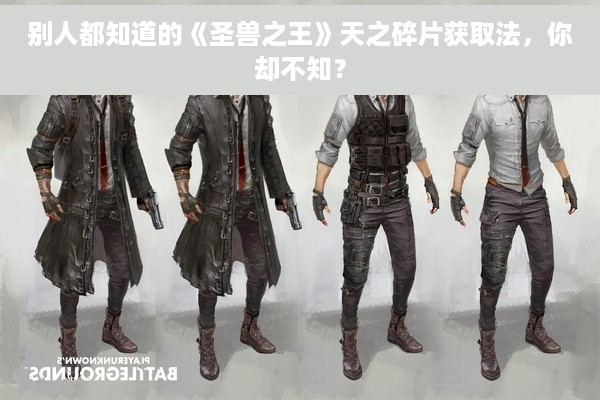 别人都知道的《圣兽之王》天之碎片获取法，你却不知？