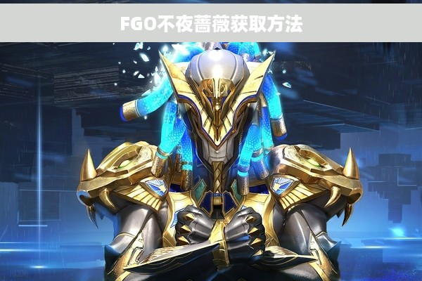 FGO不夜蔷薇获取方法