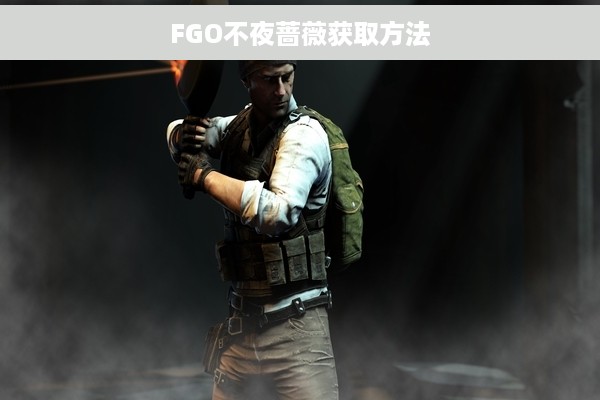 FGO不夜蔷薇获取方法