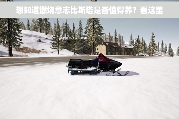 想知道燃烧意志比斯塔是否值得养？看这里