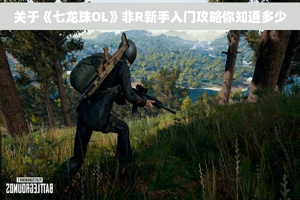 关于《七龙珠OL》非R新手入门攻略你知道多少