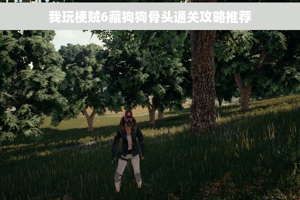 我玩梗贼6藏狗狗骨头通关攻略推荐