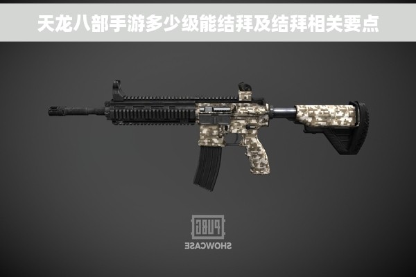 天龙八部手游多少级能结拜及结拜相关要点