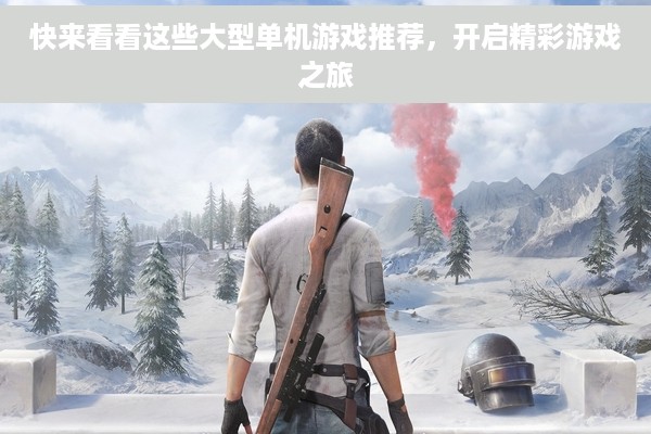 快来看看这些大型单机游戏推荐，开启精彩游戏之旅