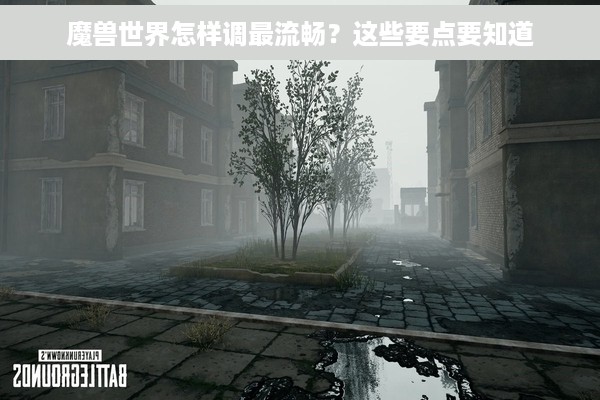 魔兽世界怎样调最流畅？这些要点要知道