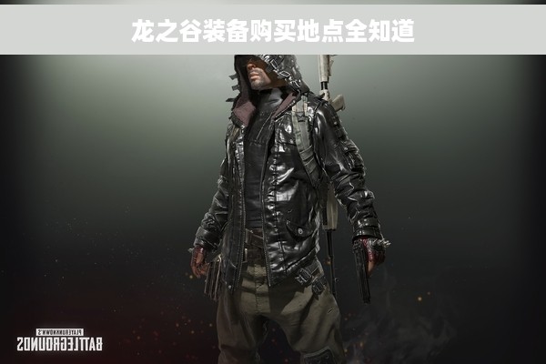 龙之谷装备购买地点全知道
