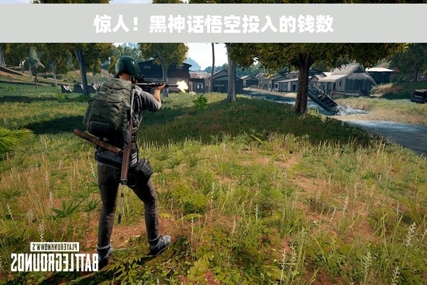 惊人！黑神话悟空投入的钱数