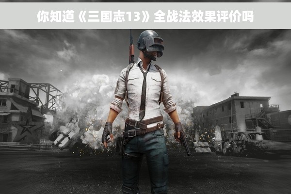 你知道《三国志13》全战法效果评价吗