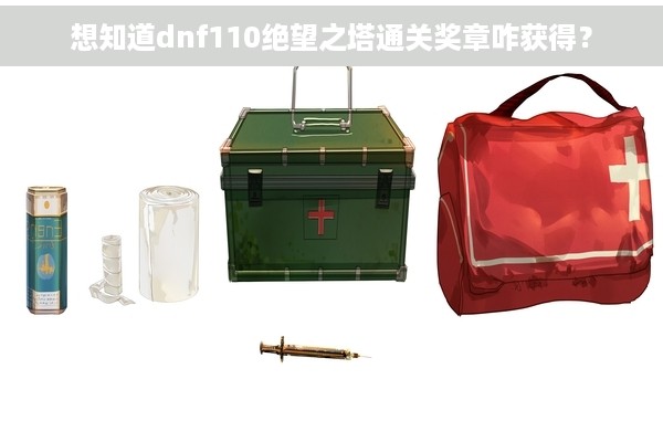 想知道dnf110绝望之塔通关奖章咋获得？