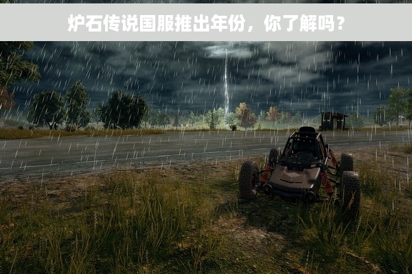 炉石传说国服推出年份，你了解吗？