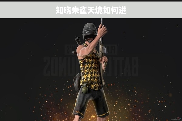 知晓朱雀天境如何进