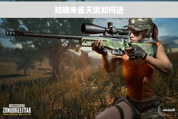 知晓朱雀天境如何进