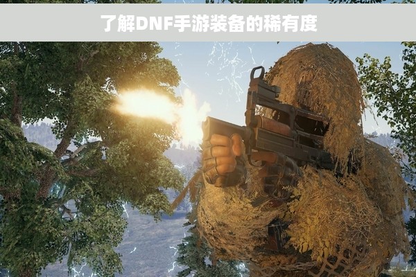 了解DNF手游装备的稀有度