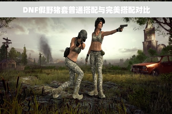 DNF假野猪套普通搭配与完美搭配对比