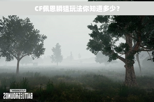CF佩恩瞬狙玩法你知道多少？