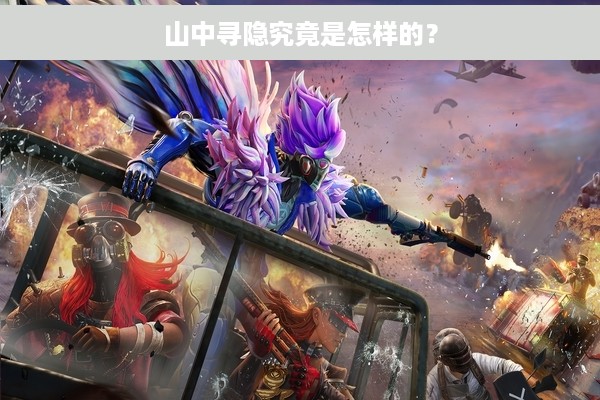 山中寻隐究竟是怎样的？