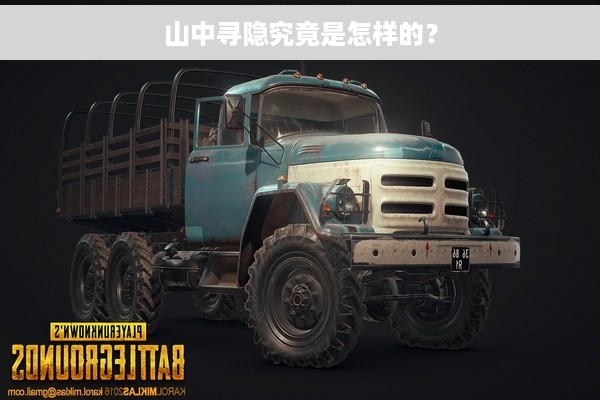 山中寻隐究竟是怎样的？