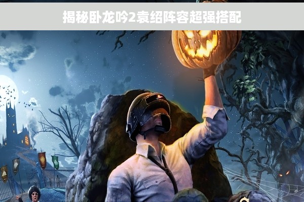 揭秘卧龙吟2袁绍阵容超强搭配