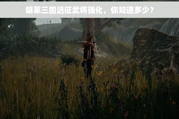 胡莱三国远征武将强化，你知道多少？