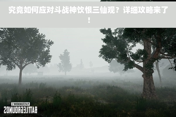 究竟如何应对斗战神饮恨三仙观？详细攻略来了！