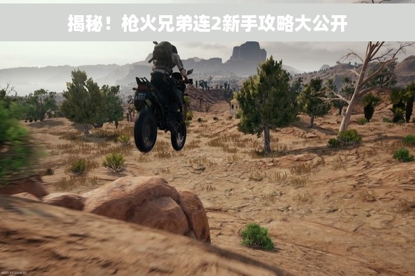 揭秘！枪火兄弟连2新手攻略大公开