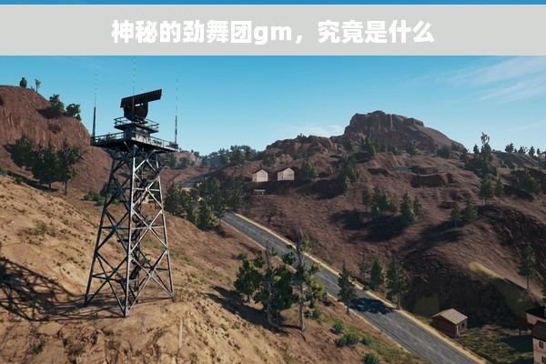 神秘的劲舞团gm，究竟是什么