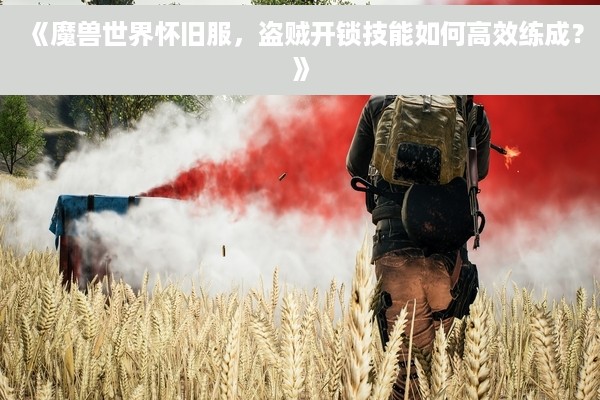 《魔兽世界怀旧服，盗贼开锁技能如何高效练成？》