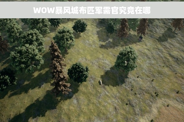 WOW暴风城布匹军需官究竟在哪