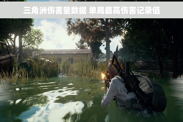 三角洲伤害量数据 单局最高伤害记录值