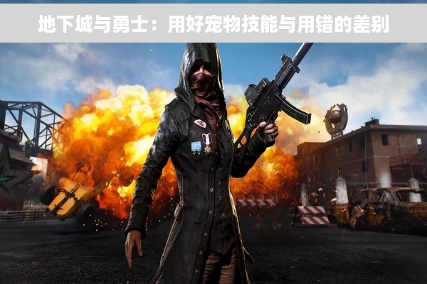 地下城与勇士：用好宠物技能与用错的差别