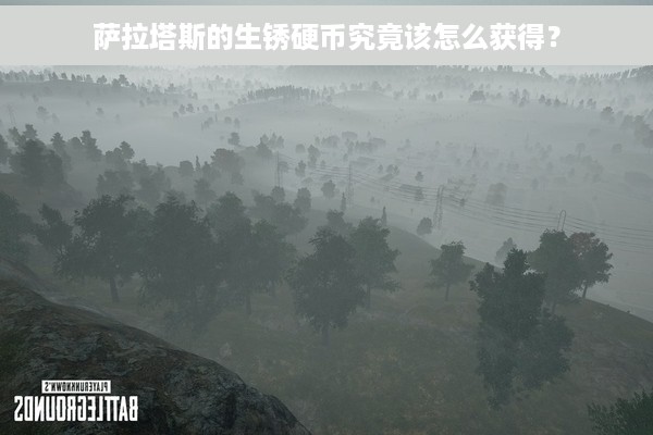 萨拉塔斯的生锈硬币究竟该怎么获得？