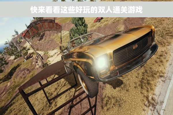 快来看看这些好玩的双人通关游戏