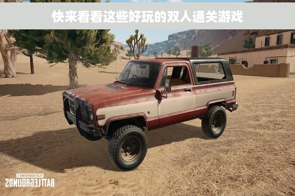 快来看看这些好玩的双人通关游戏