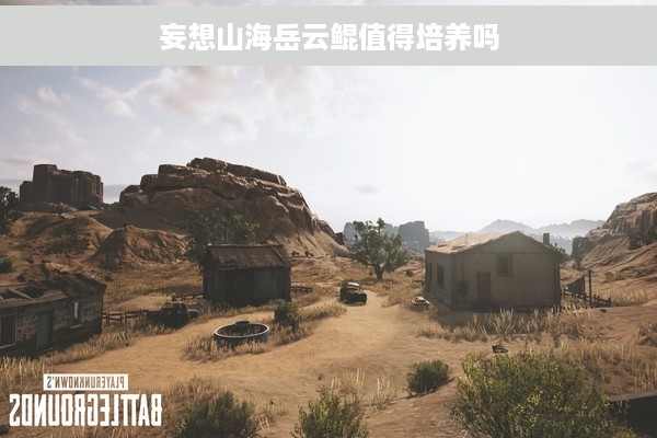 妄想山海岳云鲲值得培养吗