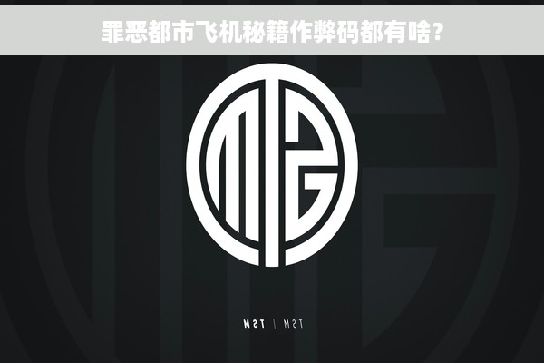 罪恶都市飞机秘籍作弊码都有啥？