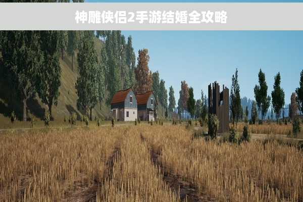 神雕侠侣2手游结婚全攻略