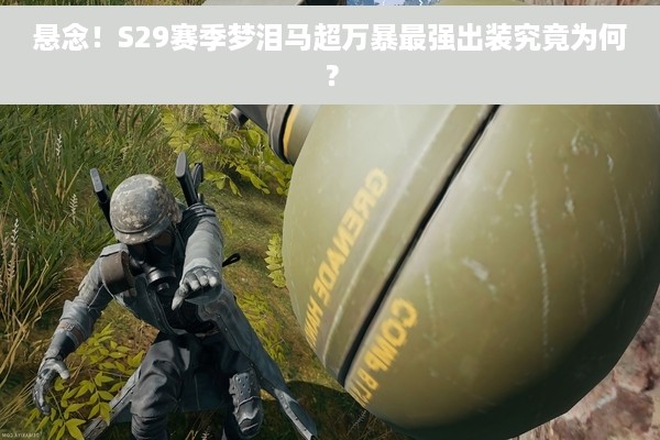 悬念！S29赛季梦泪马超万暴最强出装究竟为何？