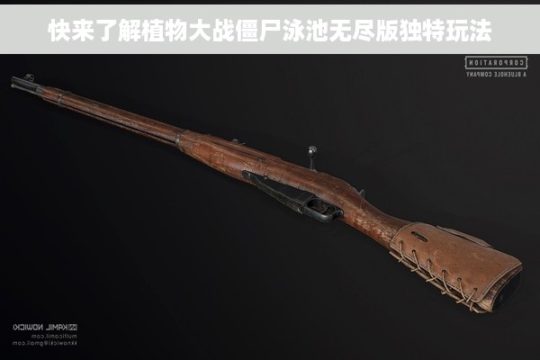 快来了解植物大战僵尸泳池无尽版独特玩法