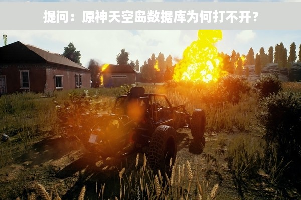 提问：原神天空岛数据库为何打不开？