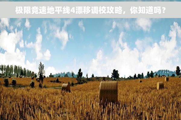 极限竞速地平线4漂移调校攻略，你知道吗？
