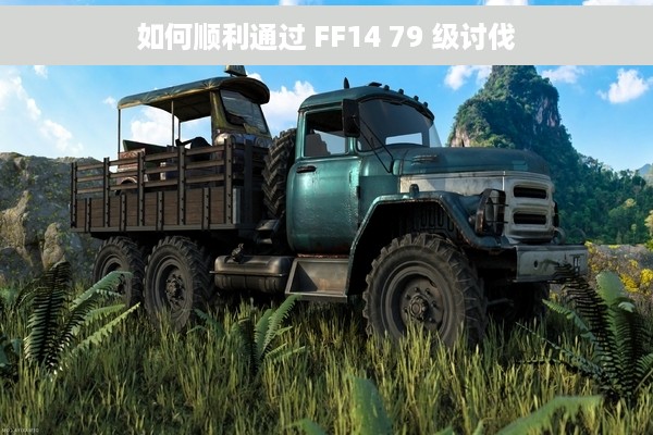 如何顺利通过 FF14 79 级讨伐