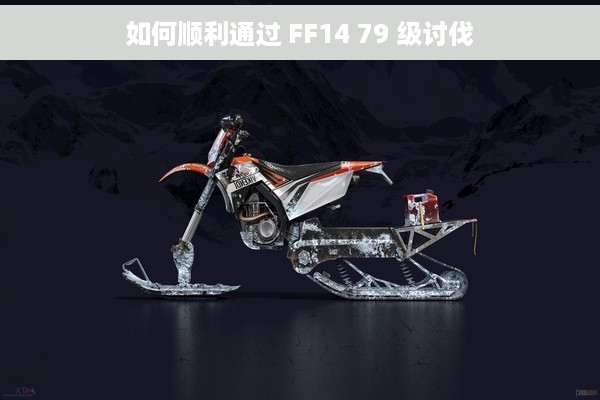 如何顺利通过 FF14 79 级讨伐