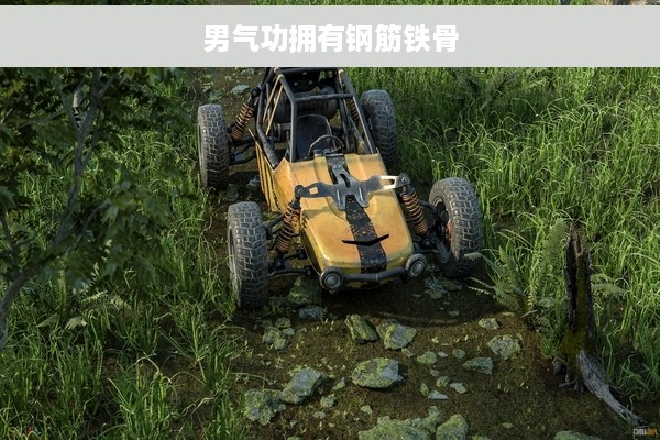 男气功拥有钢筋铁骨