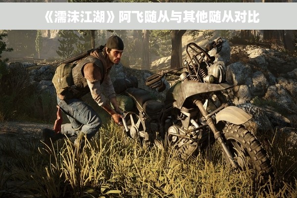 《濡沫江湖》阿飞随从与其他随从对比